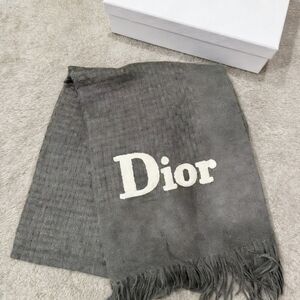 Dior Grey Logo Scarf with Fringe